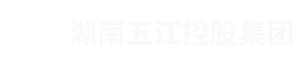 湖南amjs澳金沙门线路控股集团有限公司